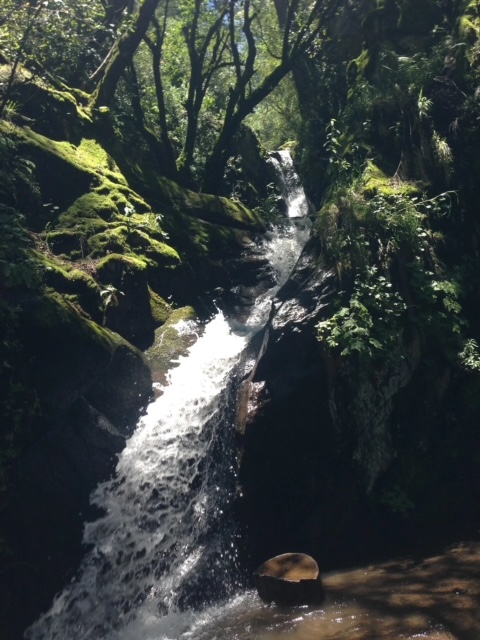 <"Ajusco, México">